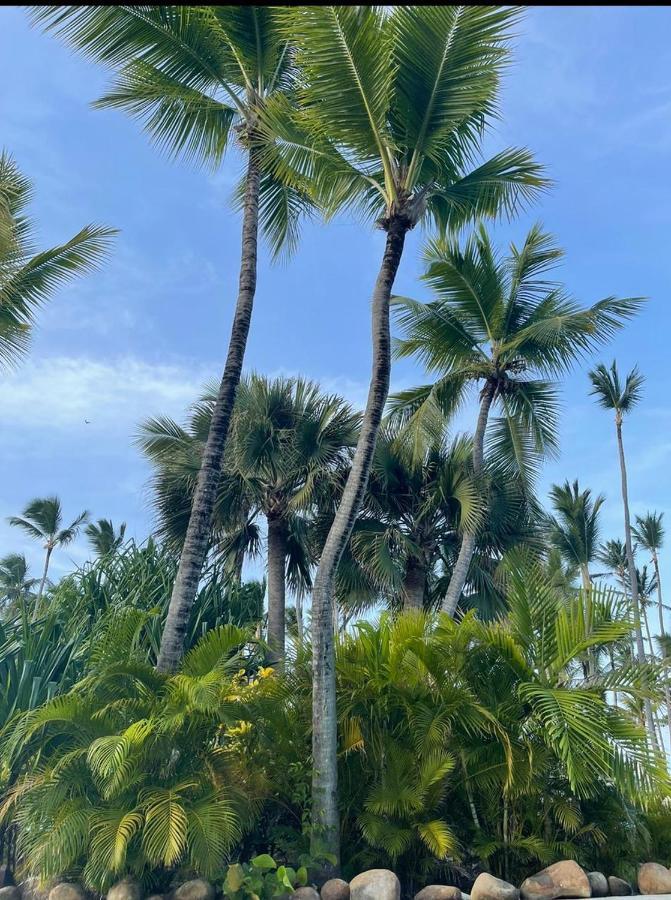 Yonah Comfort Punta Cana, Shared Apartment Kültér fotó